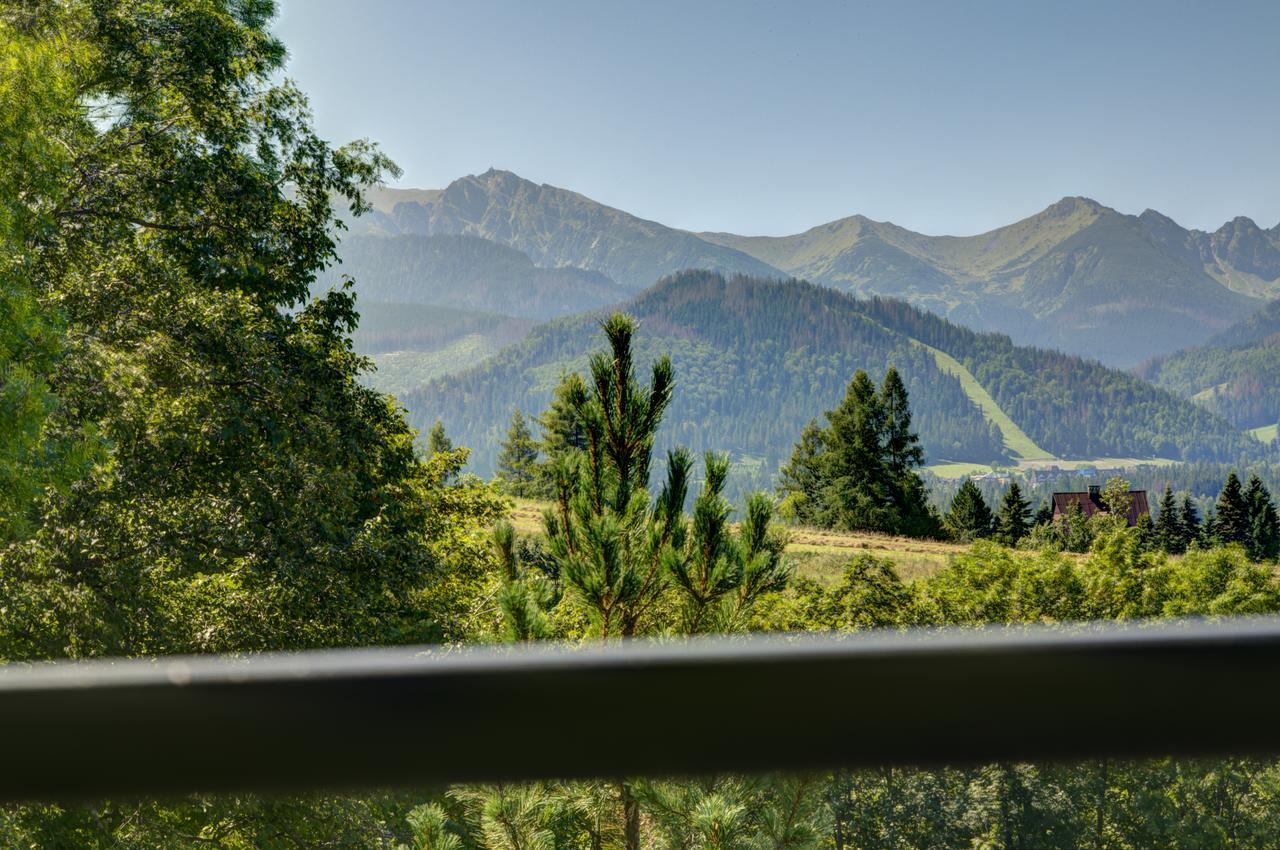 Apartment Apartamenty Willa Olsza Wood House & Mountain View & Sauna