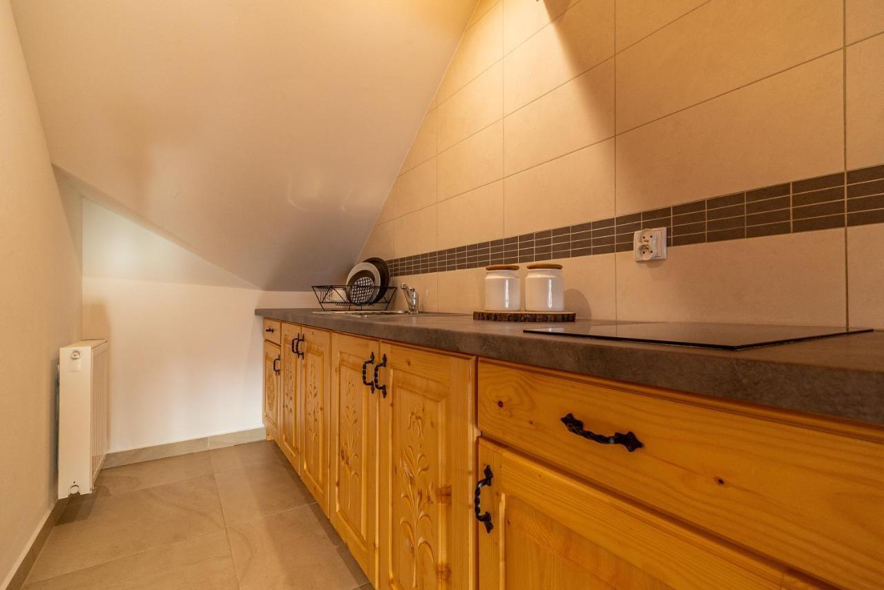 Apartment Apartamenty Willa Olsza Wood House & Mountain View & Sauna Zakopane